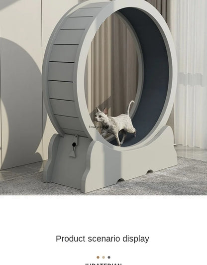 Eco-Friendly Cat Running Wheel - The Ultimate Exercise Equipment for Happy Cats