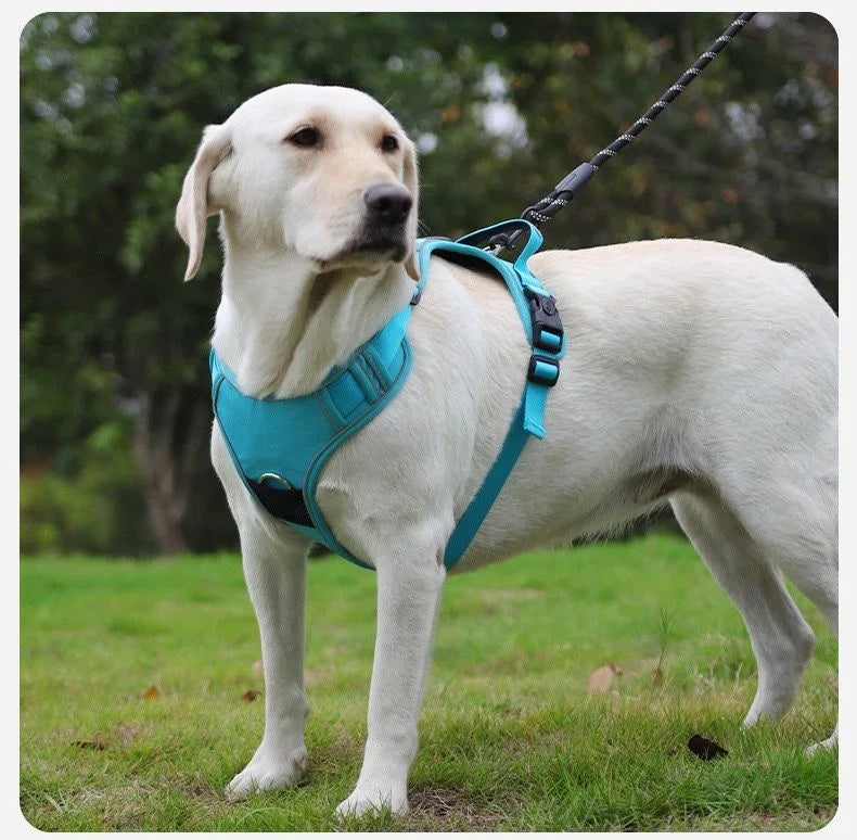 No Pull Adjustable Reflective Dog Harness with Airtag Holder - Mystery Paw