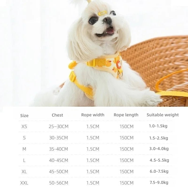 Mystery Paw Cartoon Duck Harness & Leash Set for Small Dogs & Cats