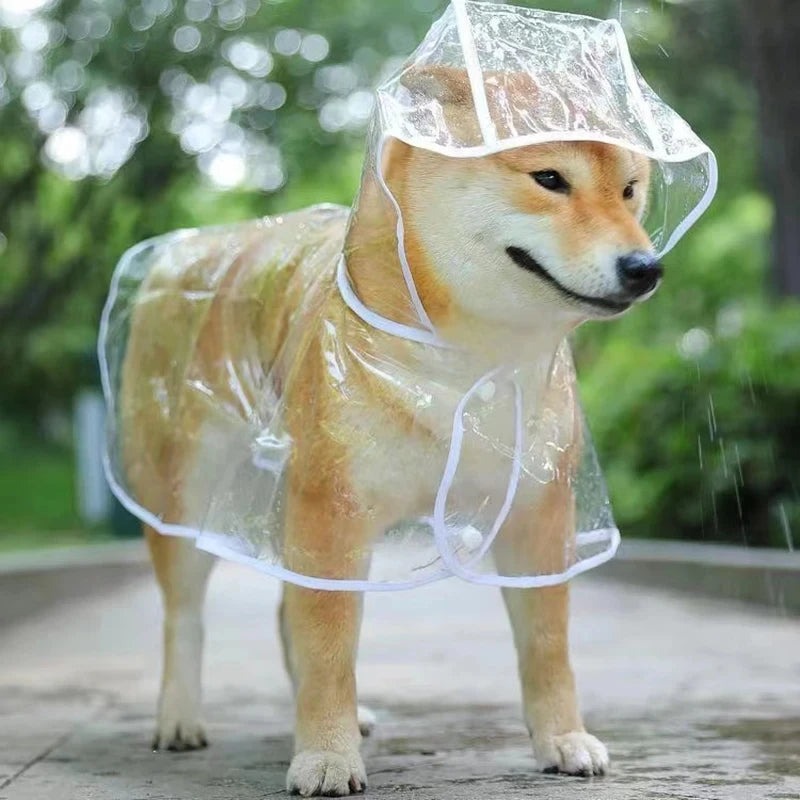 Mystery Paw Transparent Dog Raincoat - Stylish & Waterproof