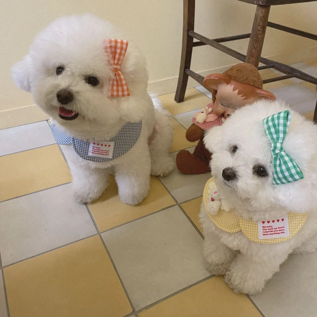 Mystery Paw Cute Plaid Rabbit Cape & Scarf for Small Dogs & Cats