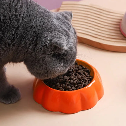 Mystery Paw: Fruity Fun Ceramic Pet Bowls