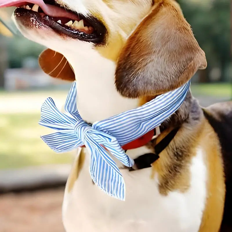 Mystery Paw Pet Cooling Ice Scarf