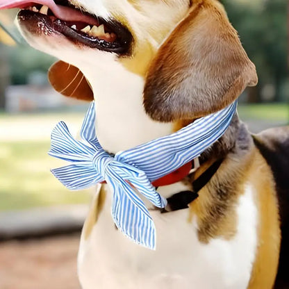 Mystery Paw Pet Cooling Ice Scarf