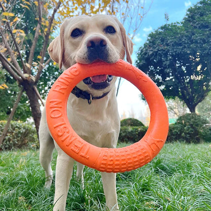 Mystery Paw Indestructible Dog Flying Disc - Ultimate Fetch Fun!