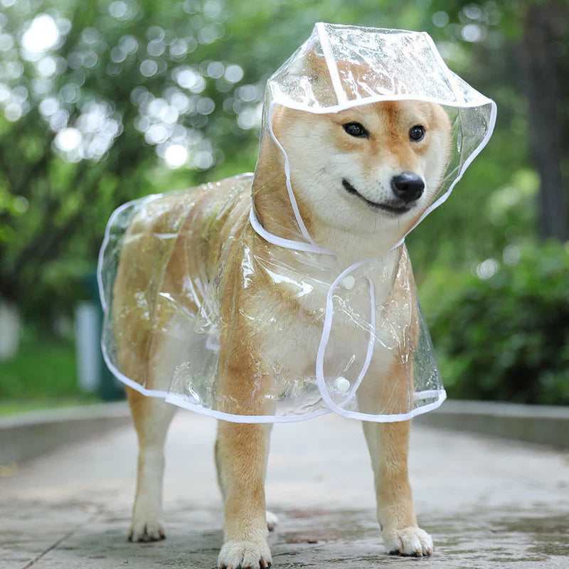 Mystery Paw Transparent Dog Raincoat - Stylish & Waterproof