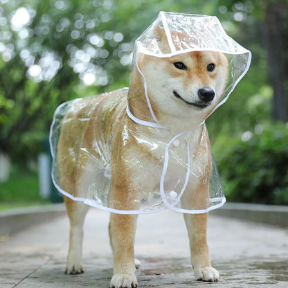 Mystery Paw Transparent Dog Raincoat - Stylish & Waterproof