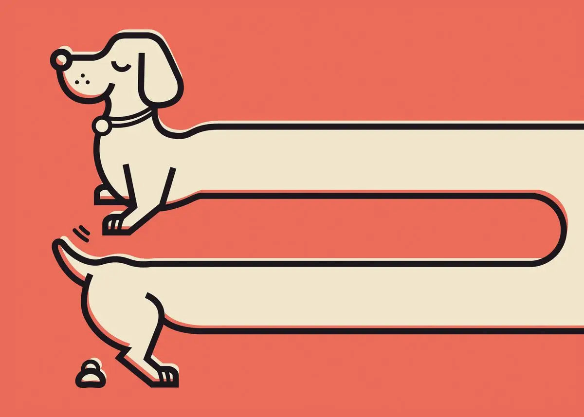 Kawaii Dachshund Dog Canvas Wall Art for Home Decor