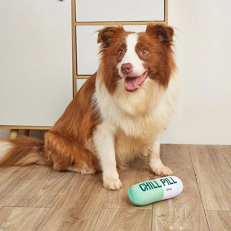 Chill Pill Plush Dog Toy - Built-in Vocal Fun!