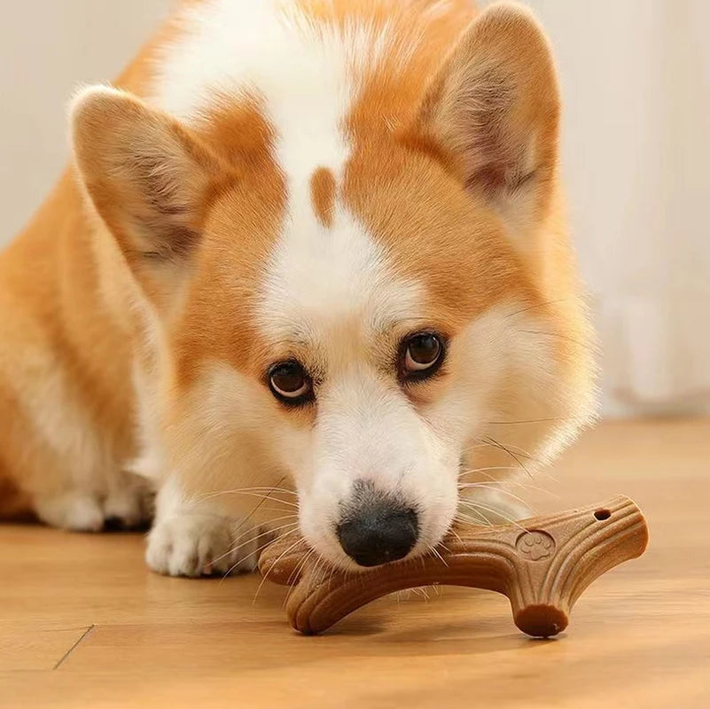 Eco-Friendly Chew Toys for Dogs - Mystery Paw