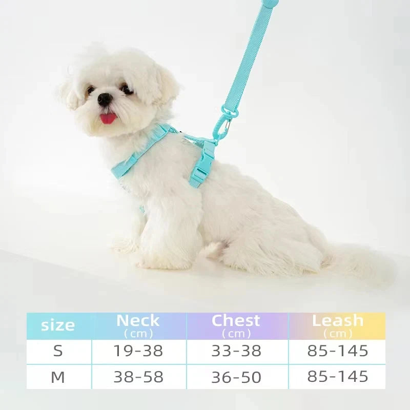 Mystery Paw Reflective H Shape Harness & Leash Set for Puppies & Cats