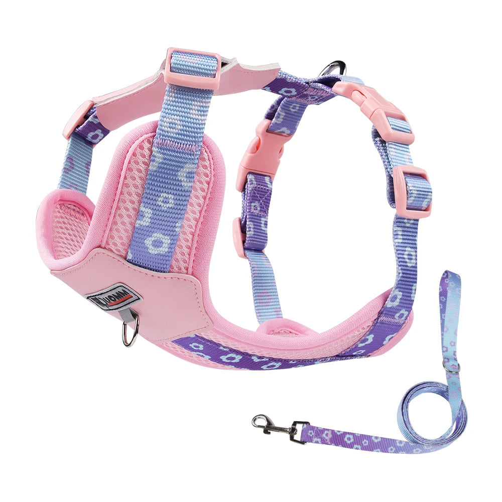Mystery Paw Kawaii Summer Cooling Dog Harness & Leash Set
