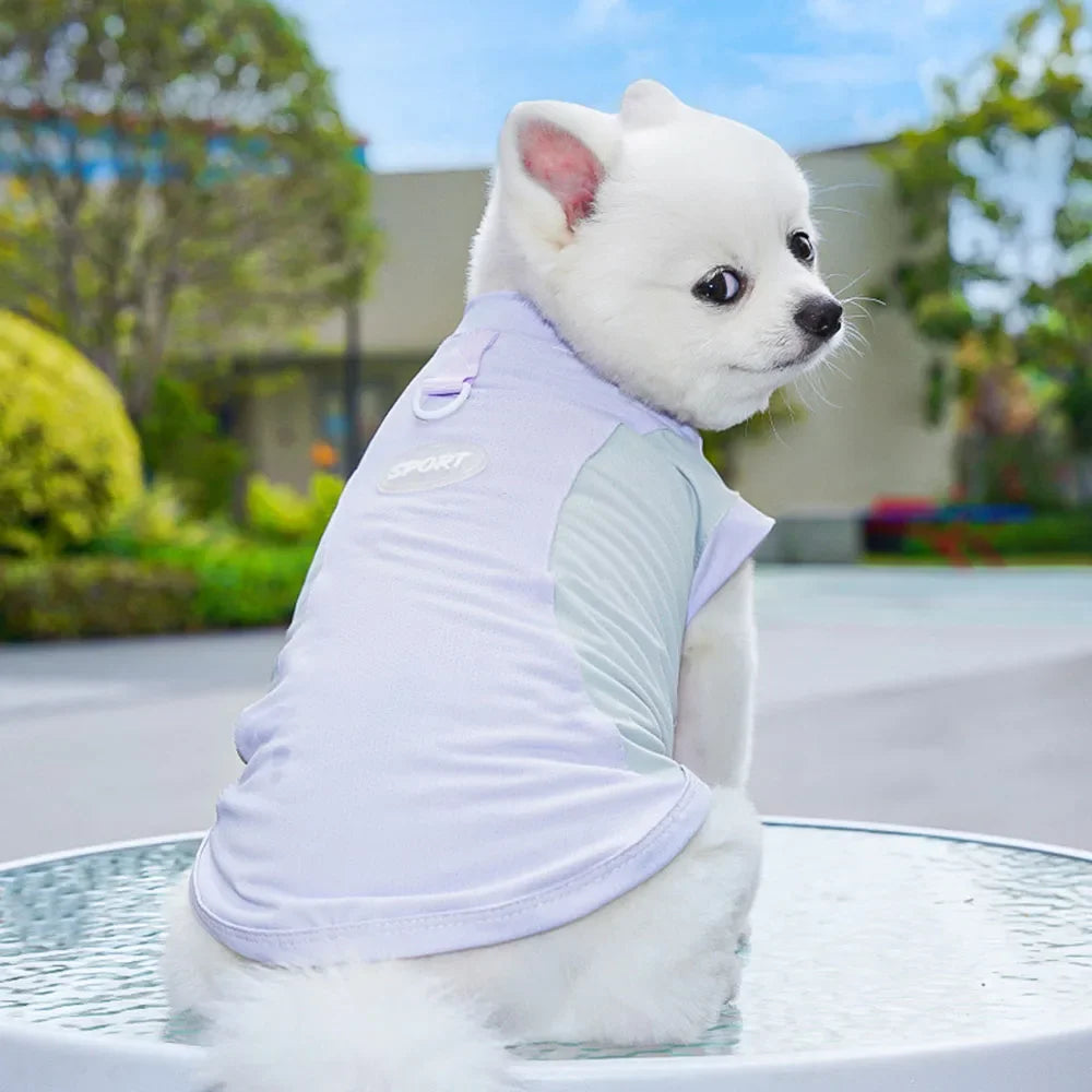 Kawaii Summer Cool Dog Vest - Breathable & Stylish Sun Protection