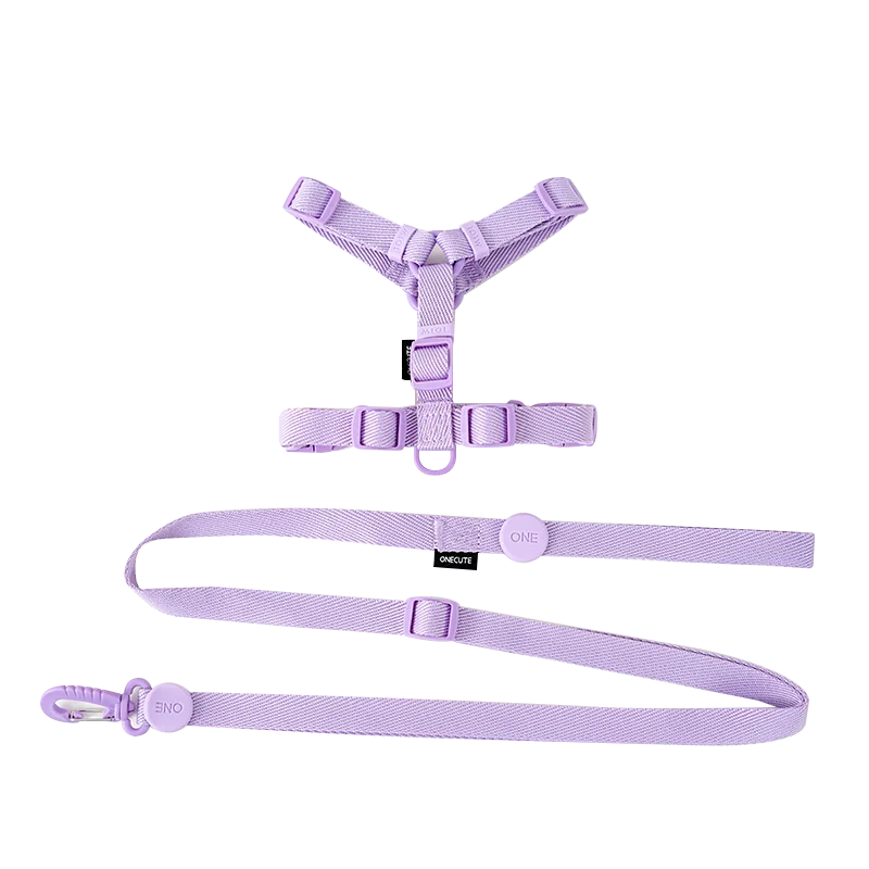 Mystery Paw Reflective H Shape Harness & Leash Set for Puppies & Cats