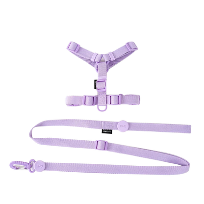Mystery Paw Reflective H Shape Harness & Leash Set for Puppies & Cats