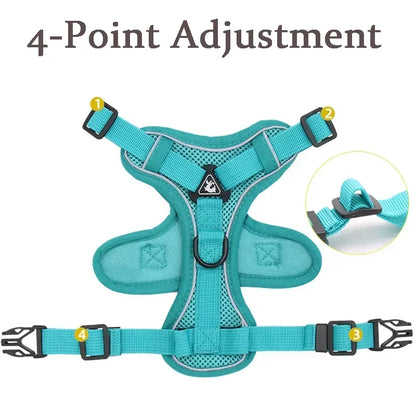 Reflective No Pull Harness & Leash Set for Dogs and Cats - Mystery Paw