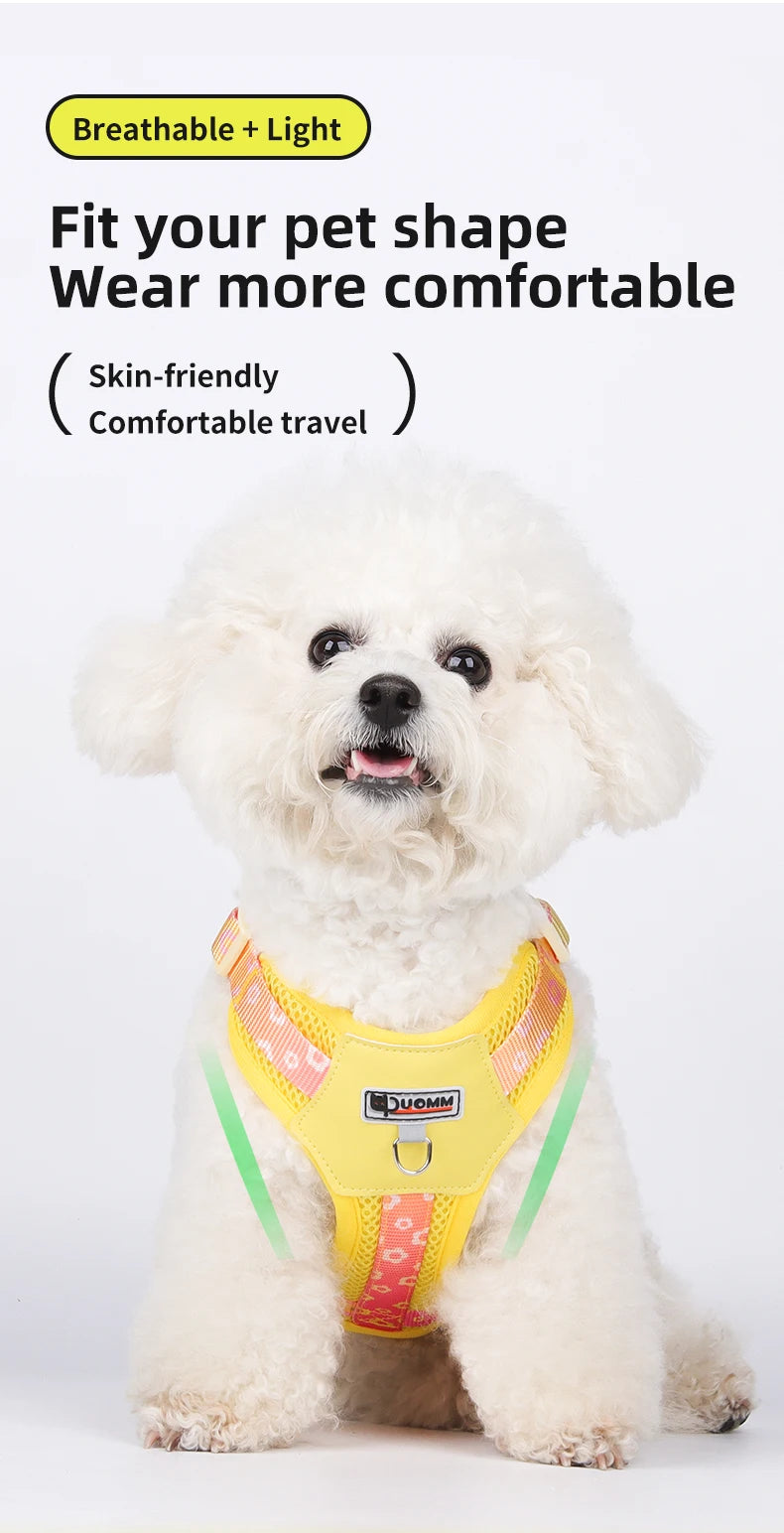 Mystery Paw Kawaii Summer Cooling Dog Harness & Leash Set