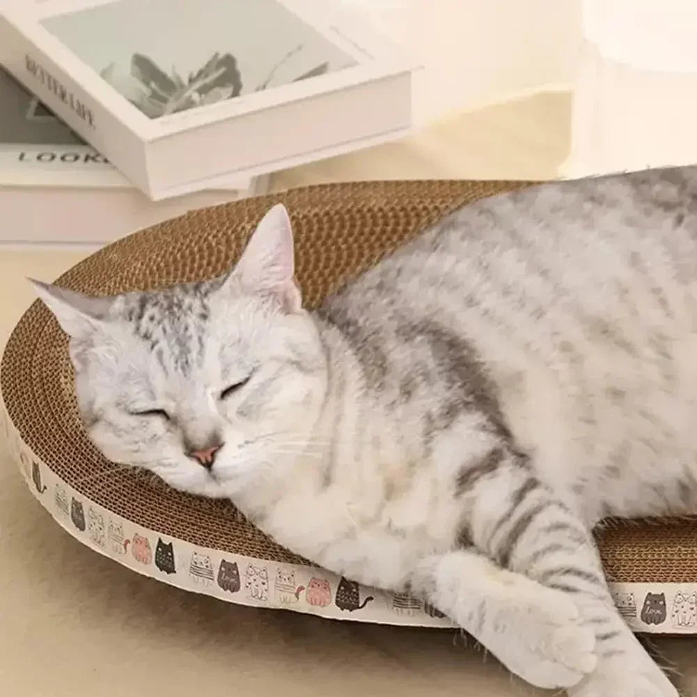 Mystery Paw Cat Scratching Board & Lounge