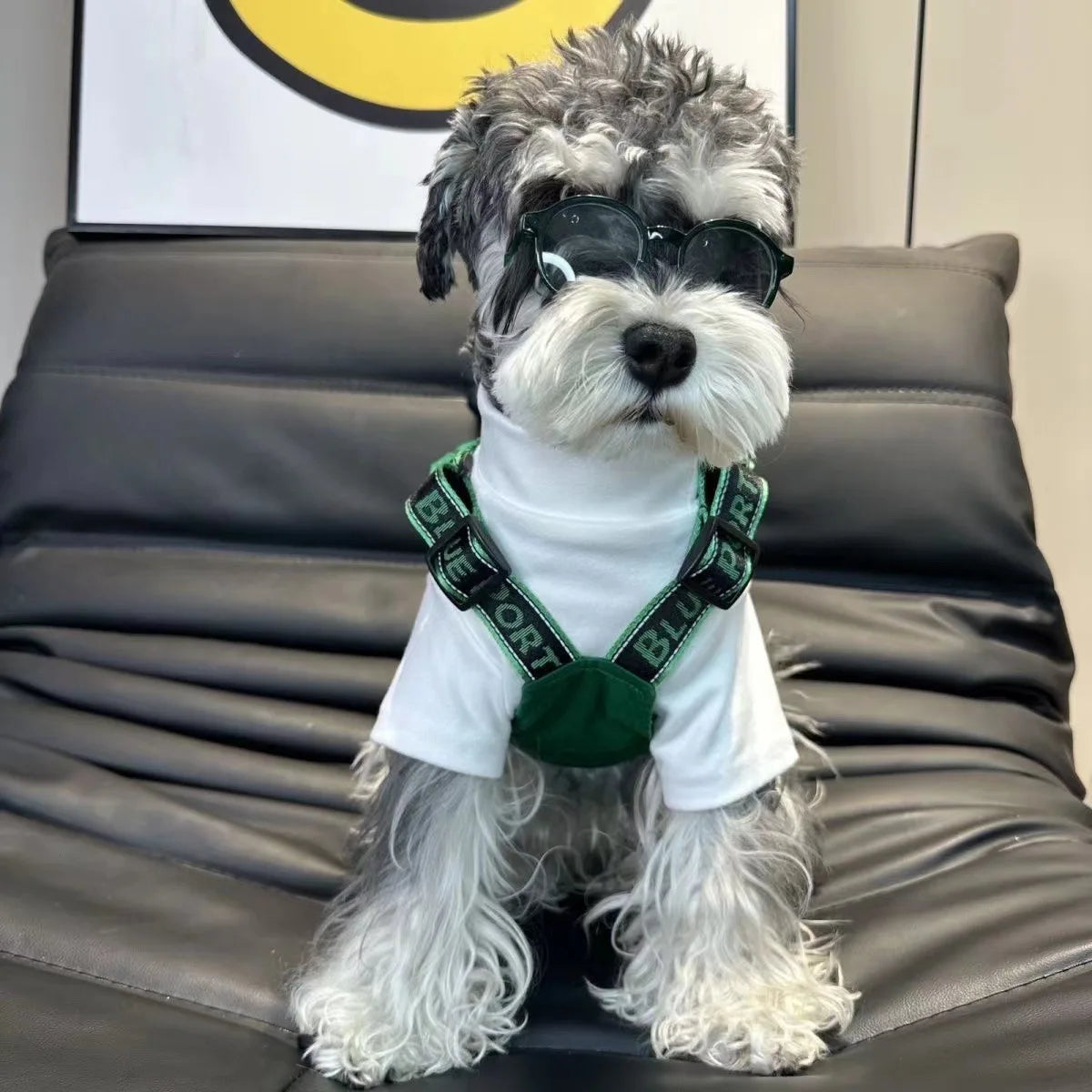 Trendy Dog Workwear Vest - Perfect for Autumn & Winter