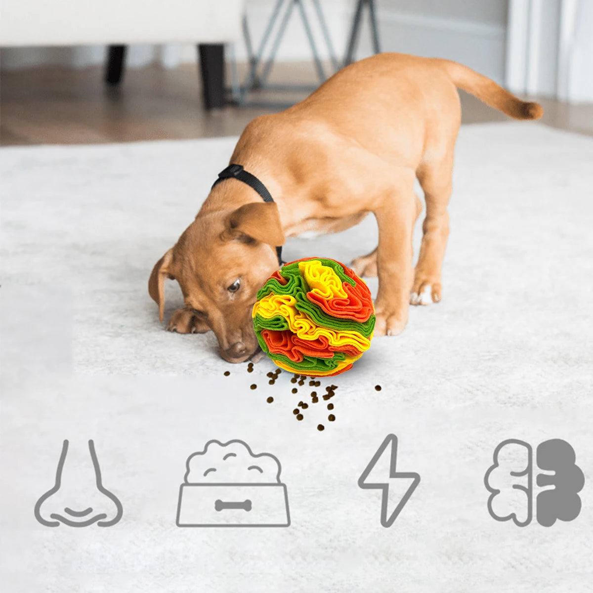 Mystery Paw Dog Snuffle Ball Puzzle Toy