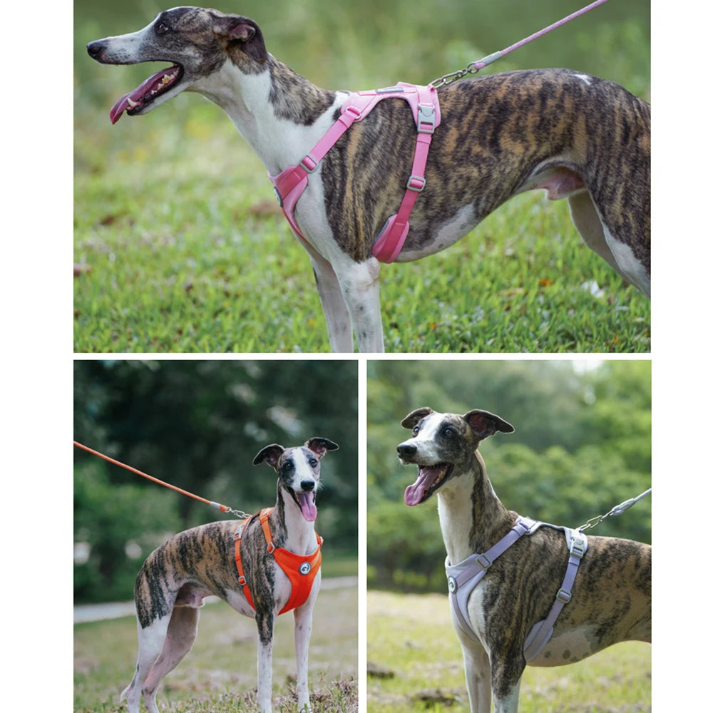 Mystery Paw No-Pull Reflective Dog Harness Vest