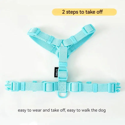 Mystery Paw Reflective H Shape Harness & Leash Set for Puppies & Cats