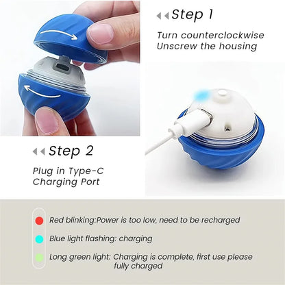 Mystery Paw Smart Interactive Jump Ball Toy