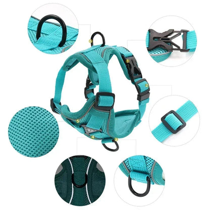 Reflective No Pull Harness & Leash Set for Dogs and Cats - Mystery Paw