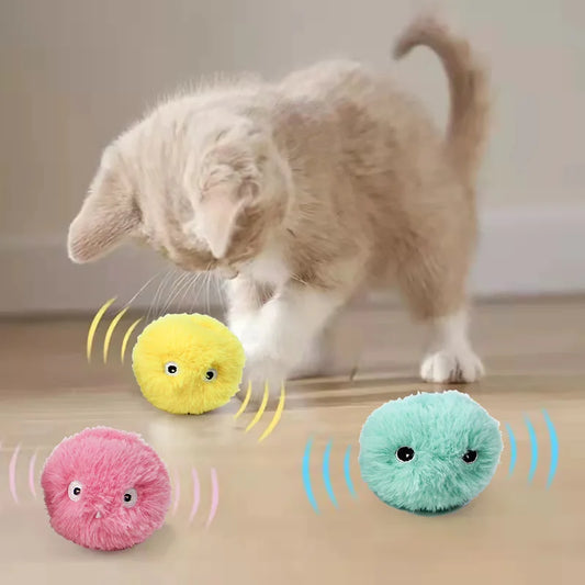 Mystery Paw Interactive Catnip Ball Toy – Engaging Indoor Fun for Cats