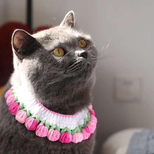 Cozy Wool Pet Necklaces & Collars for Cats and Small Dogs