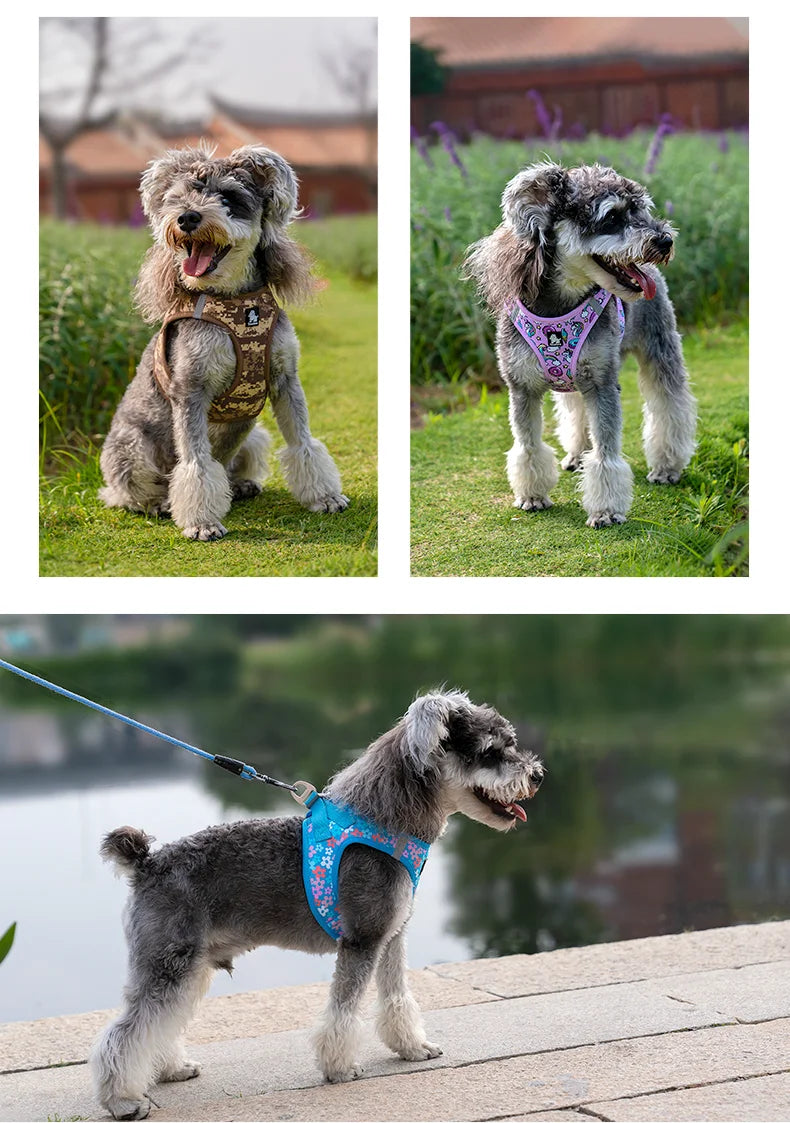 Mystery Paw Reflective Air Mesh Harness for Small & Medium Pets
