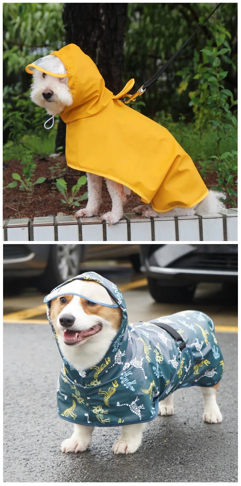 Mystery Paw Waterproof Dog Raincoat - Perfect for Any Adventure!