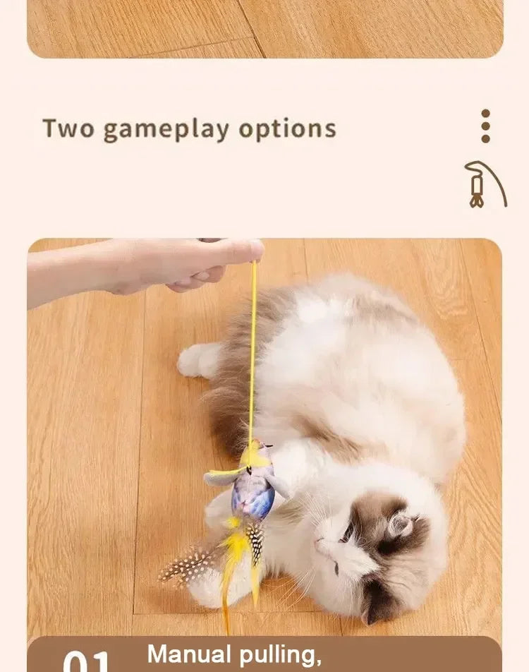 Mystery Paw Bird Chirping Toy for Cats & Dogs - Interactive Fun with Catnip