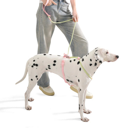 Kawaii Summer Cooling No-Pull Dog Harness & Leash Set - Stylish Comfort for Medium & Large Breeds
