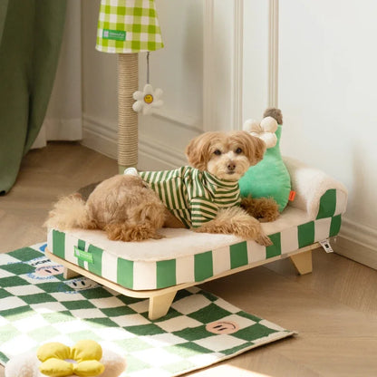 Mystery Paw Elevated Pet Bed with Cozy Pad & Pillow