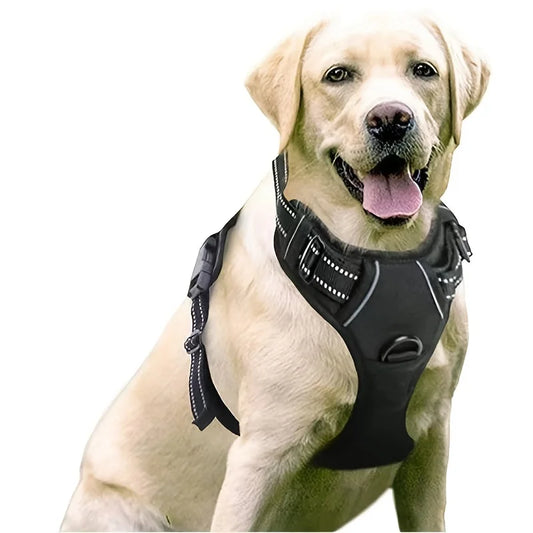 Mystery Paw No-Pull Dog Harness with Dual Leash Clips - Adjustable & Soft Padded
