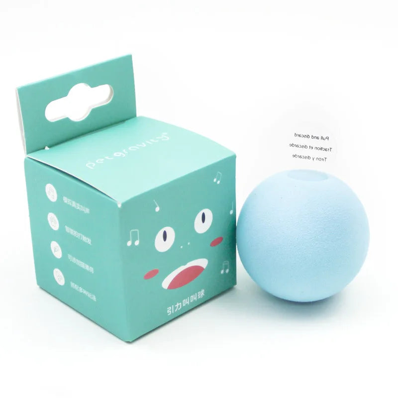 Mystery Paw Interactive Catnip Ball Toy – Engaging Indoor Fun for Cats