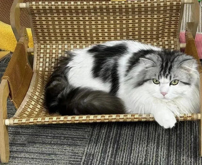 Mystery Paw Summer Cooling Rattan Cat Bed & Scratcher Lounge