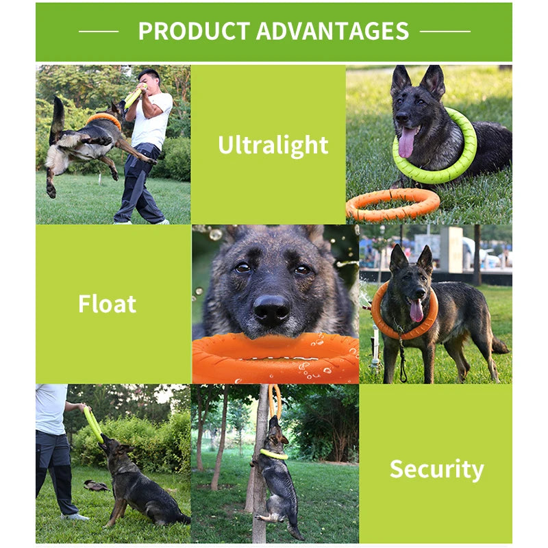 Mystery Paw Indestructible Dog Flying Disc - Ultimate Fetch Fun!
