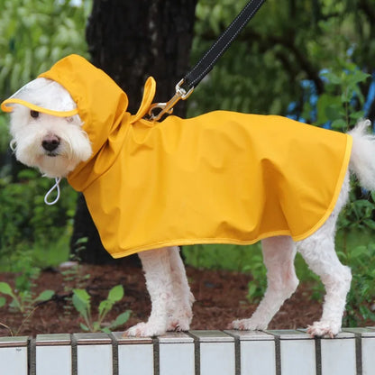 Mystery Paw Waterproof Dog Raincoat - Perfect for Any Adventure!