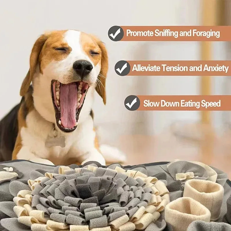 Mystery Paw Snuffle Mat: Slow Feeder & Enrichment for Dogs