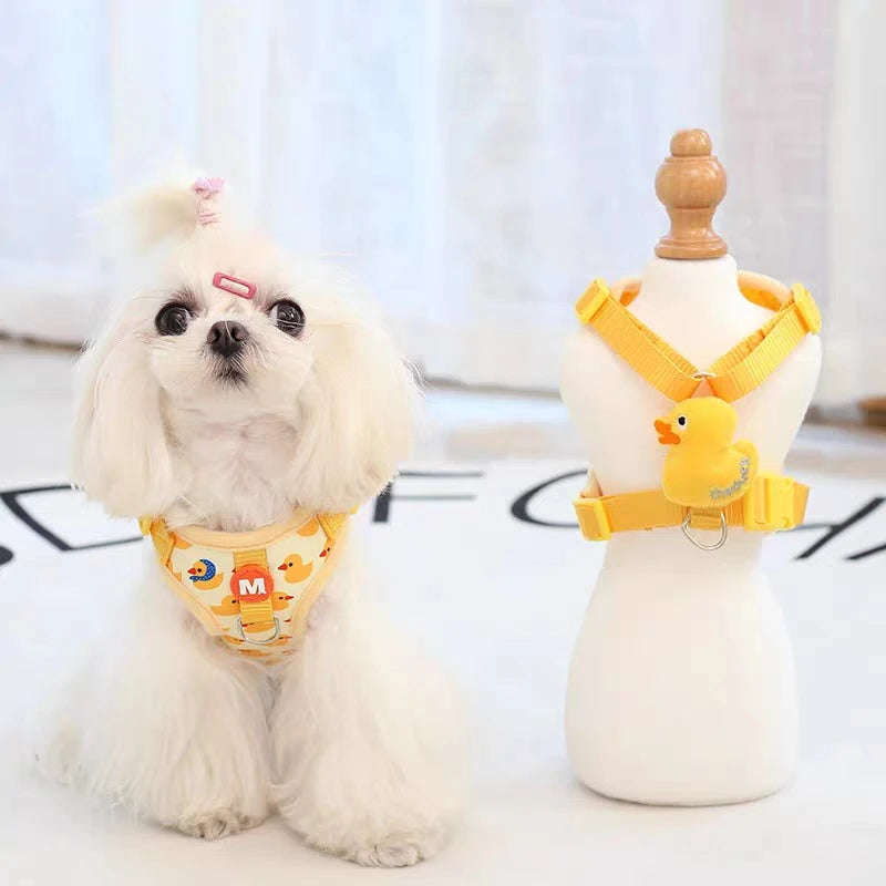 Mystery Paw Cartoon Duck Harness & Leash Set for Small Dogs & Cats