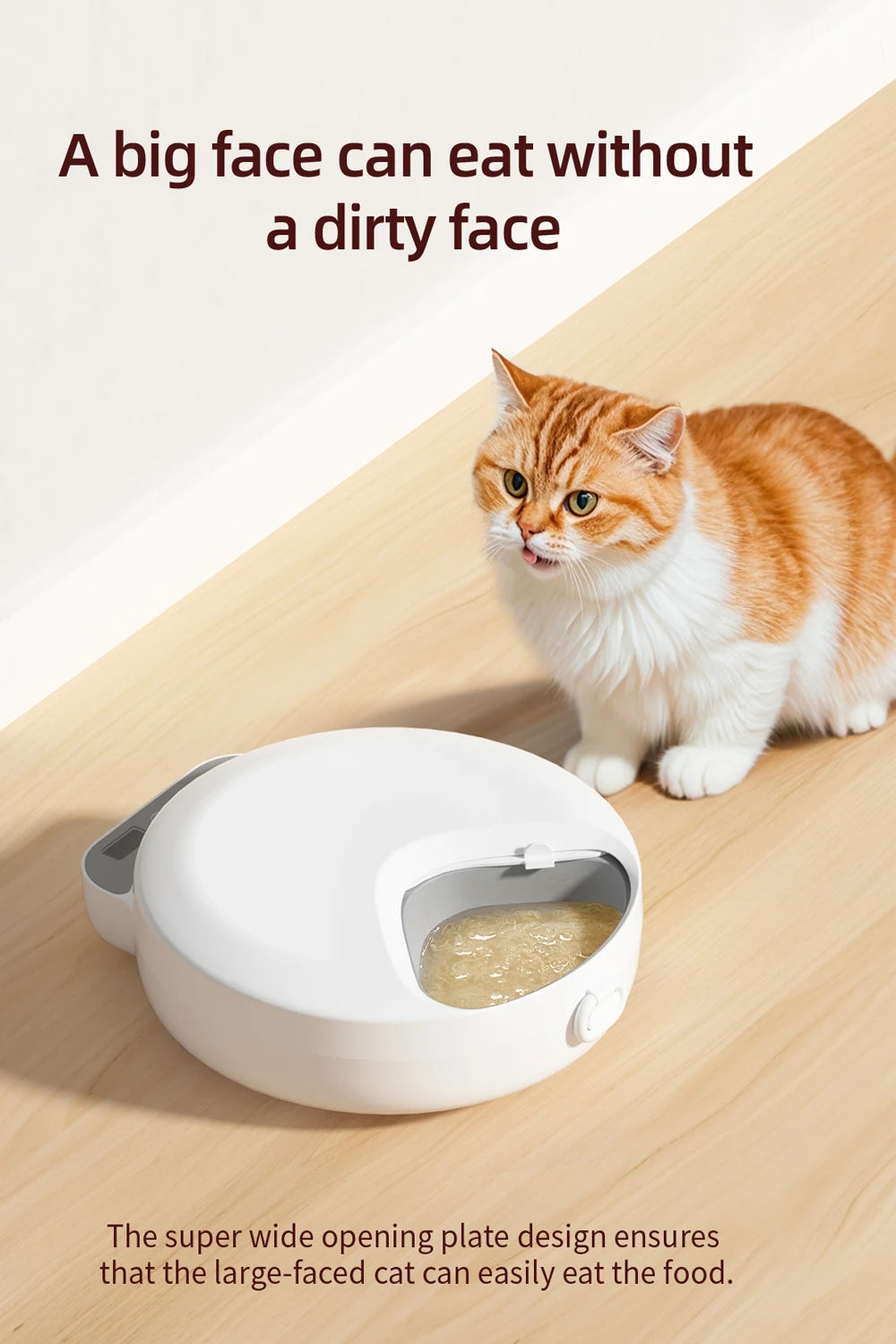 Mystery Paw 4-Meal Automatic Pet Feeder: Fresh Meals for Cats & Dogs