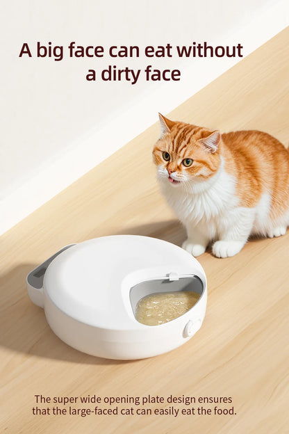 Mystery Paw 4-Meal Automatic Pet Feeder: Fresh Meals for Cats & Dogs