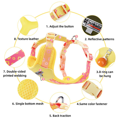 Mystery Paw Kawaii Summer Cooling Dog Harness & Leash Set
