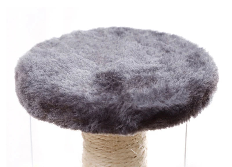 Mystery Paw Sisal Cat Scratcher & Interactive Play Post
