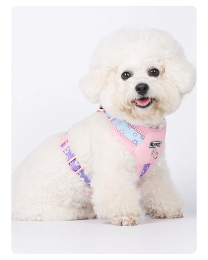 Mystery Paw Kawaii Summer Cooling Dog Harness & Leash Set