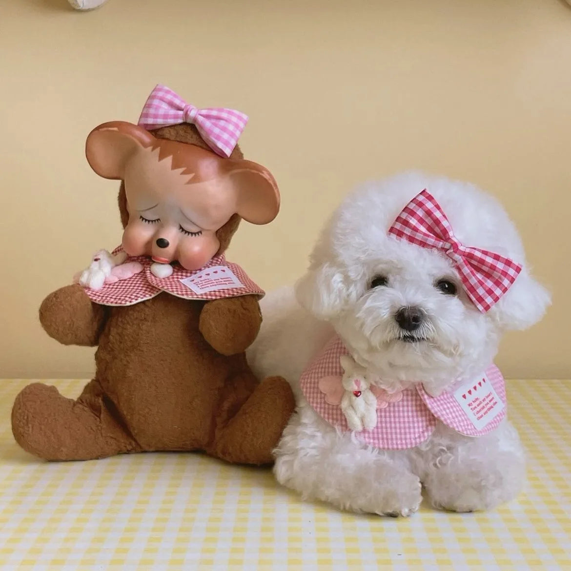 Mystery Paw Cute Plaid Rabbit Cape & Scarf for Small Dogs & Cats
