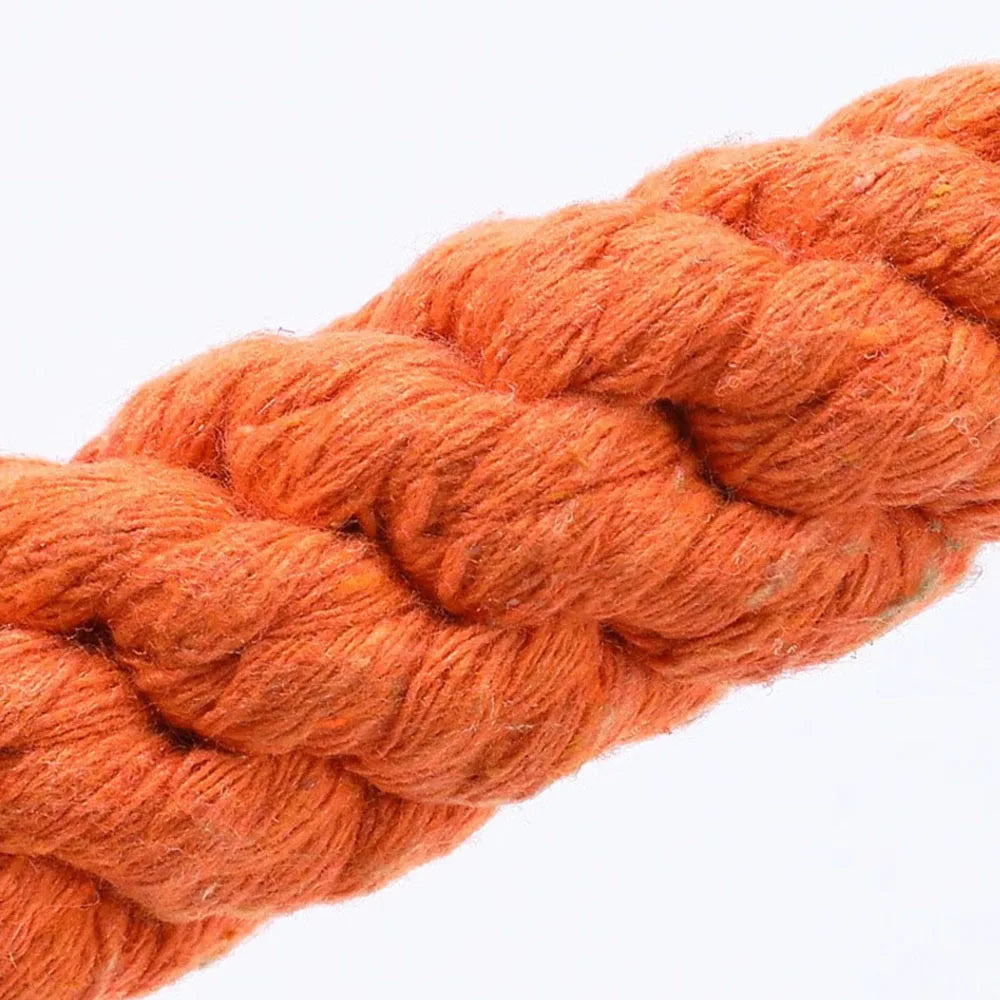 Mystery Paw Kawaii Carrot Rope Dog Chew Toy - Fun & Dental Care Combined!