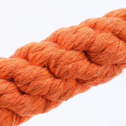 Mystery Paw Kawaii Carrot Rope Dog Chew Toy - Fun & Dental Care Combined!